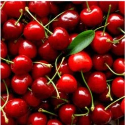 Cosmedix Rescue -Skin Care Products Store RescueWithCherryExtractBalmMask 50g cosmedix repair restore cosmedix 703870 620x 9f6819af 8ac9 46fc b36b 1d9ffc0f1af0