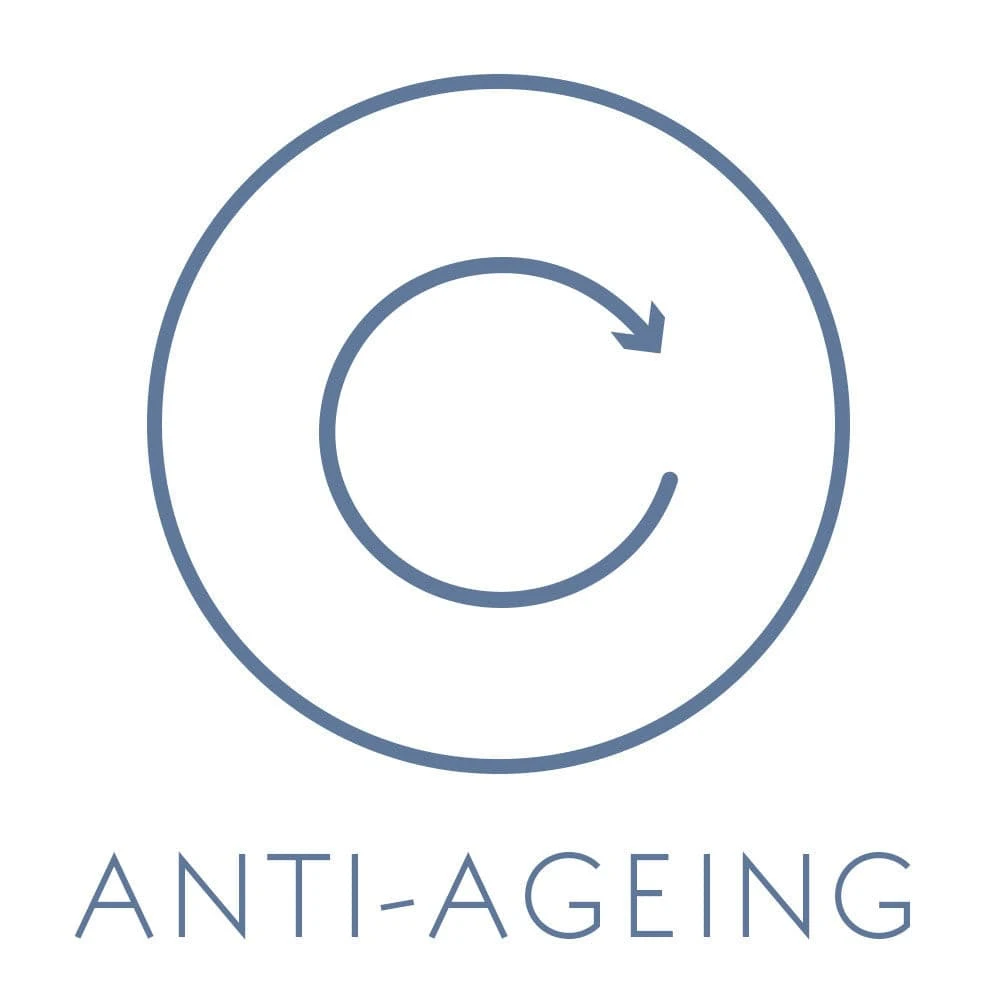 Dr Spiller Celltresor Intense Rebuilding Cream 5 Dr Spiller Celltresor Intense Rebuilding Cream - Image 3