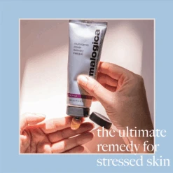 Dermalogica Multivitamin Power Recovery Masque -Skin Care Products Store dermalogica multivitamin power recovery mask