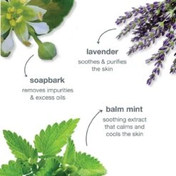 Dermalogica Special Cleansing Gel -Skin Care Products Store dermalogica special cleansing gel active ingredients